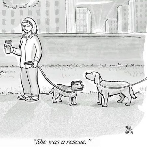 Meet your Posher, Jessie - Picture 1 of 1